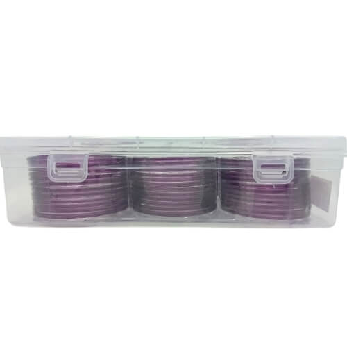 Jelly Translucent 12-Piece Bangles